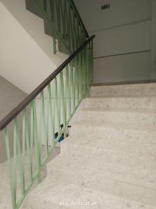 Apartament Avangarde