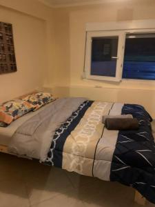 RAY APARTMENT