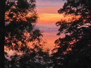 Ferienhaus Kronenpark, Angelcamp mit Angelboot, Kanus, Fahrräder, Jakuzzi, uvm.