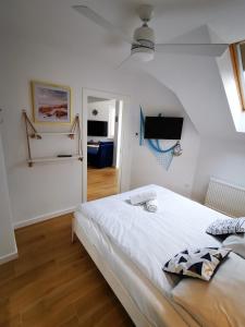 Aravell E23 Darłówko Wschodnie