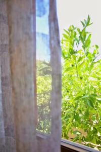 Casa Magnolia - INCANTO MEDITERRANEO vicino al MARE