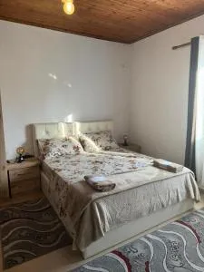 Villa Zefi Rrenc - Vau i Dejës