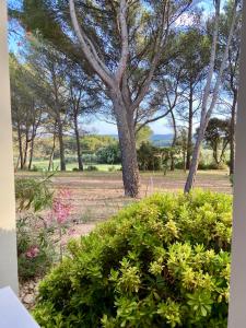 Gîte Confortable Vue Exceptionnelle - Golf de Saumane