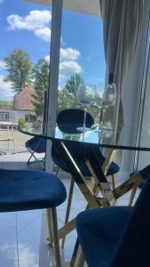 Apartament Pionierów 6