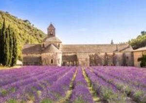 Appartements Studio au pied du Luberon : photos des chambres