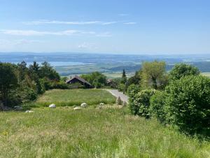 Chalet avec vue panoramique alpes et lac