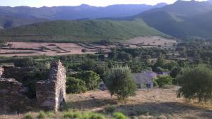 Maisons de vacances La corse entre plage et riviere : photos des chambres