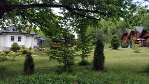 Apartament dwuosobowy Stary dąb