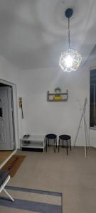 Knezevic House