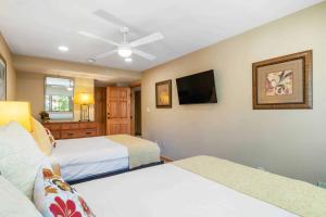 Lodge at Lionshead 250B