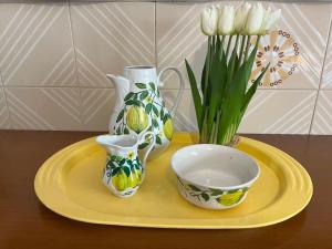 Casa Euphorbia img18