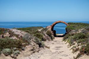 Casa Euphorbia img37