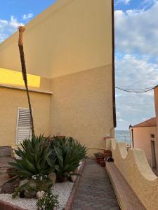 Casa Euphorbia img25