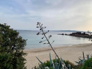 Casa Euphorbia img32