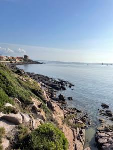 Casa Euphorbia img33