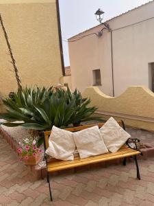 Casa Euphorbia img27