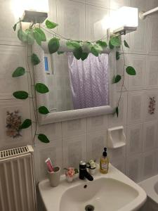 Gellis Village house Meteora