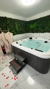 Maison jacuzzi sauna 5min pied gare - 莱米罗