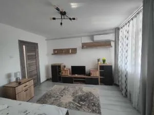 White House - 斯维什托夫