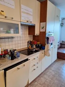 Nina apartman - Drenovo