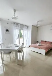 Charmant studio "Palmier" à 20 min de paris - Champlan