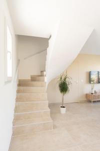 Villas Villa Thym : photos des chambres
