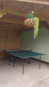 Apartmány MarAqua - Ižipovce