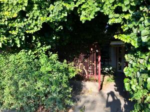 The Hunters Den