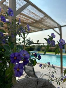 Quinta do Pica-Pau Amarelo