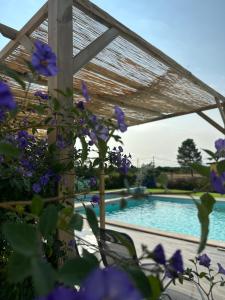 Quinta do Pica-Pau Amarelo