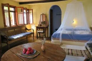 Elma's Houses - Terrace Studio Aliki - 阿洛尼索斯古镇