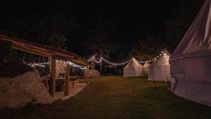 Exclusivo glamping en el bosque