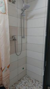 Cozy guest house in Shkoder