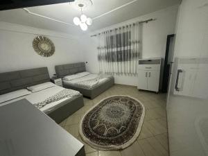 Cozy guest house in Shkoder