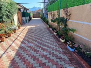Cozy guest house in Shkoder