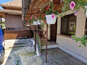 Casa Anomis