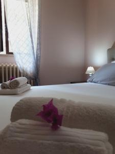Suite con 2 Camere da Letto