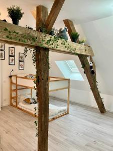 Maisons de vacances Gite de nounours a beauval : photos des chambres