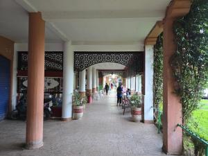 Riad Miralezia