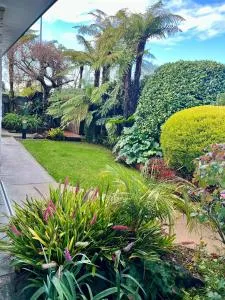 Home with spa, sauna, garden in prime location - Koutu