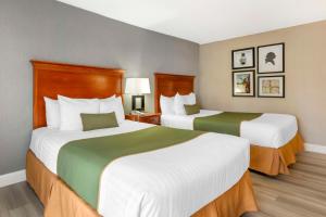 Queen Room with Two Queen Beds - Non-Smoking room in Best Western Capital Beltway