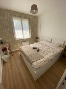 Maisons de vacances La maison des reves t4 avec jardin : photos des chambres