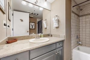 Mountain Village Lodge 167