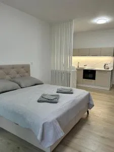 AR QUEEN island - Družstevná pri Hornáde