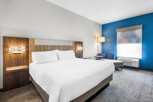 Standard King Room room in Holiday Inn Express Hotel & Suites Van Wert an IHG Hotel