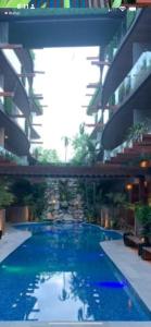 Tulum VIP Experience