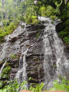 Coorg Divine spark home stay