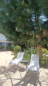 Messembria Palace Bulgaria