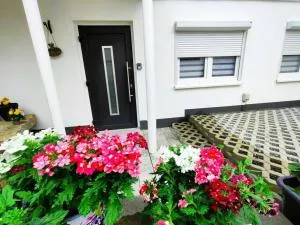 Holiday Apartment Heide 1 - Bomlitz