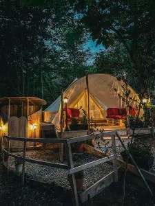 Green Hill Lodge - Cîrţişoara